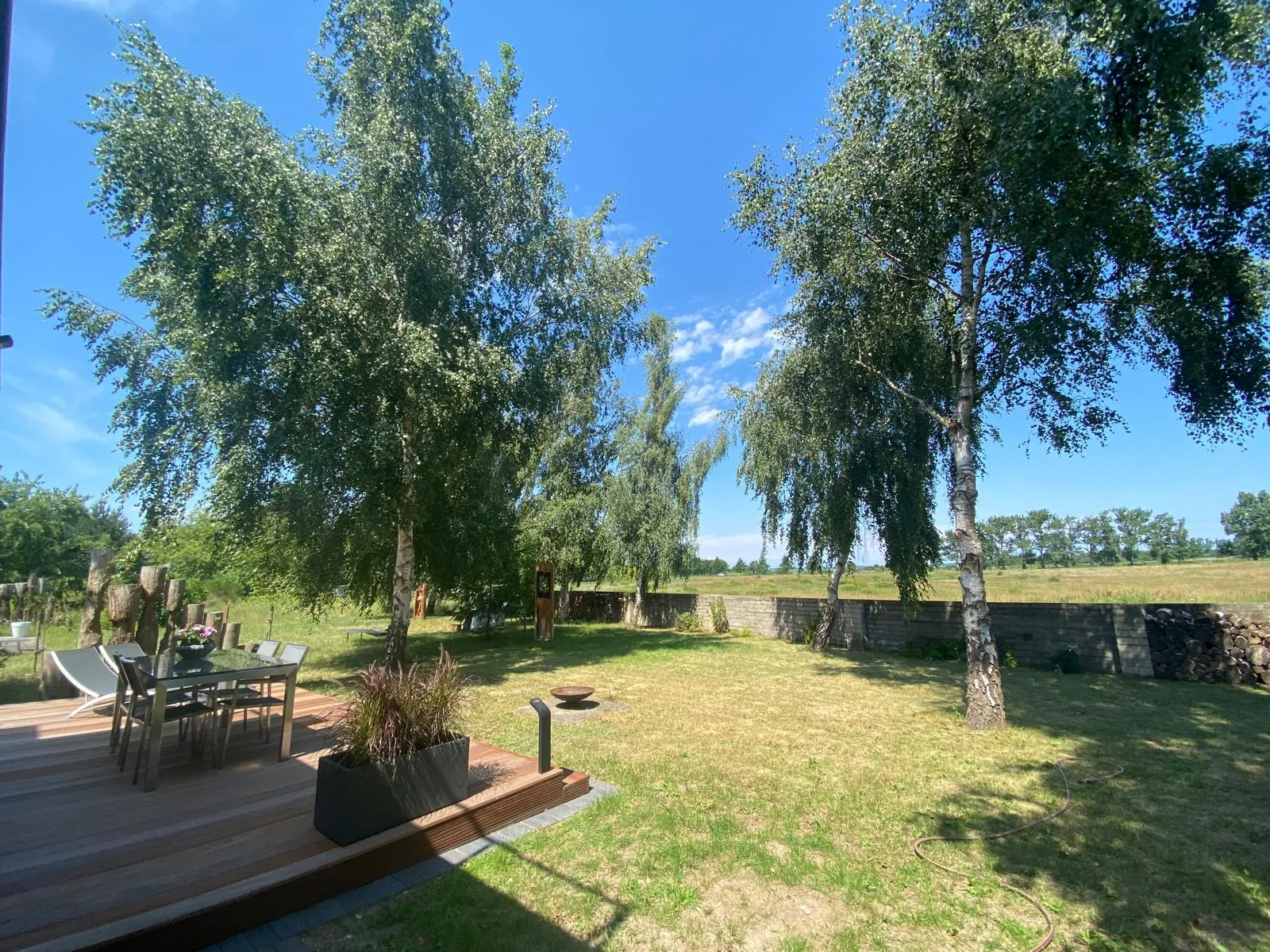 Garten mit Birken und offener Wiese unter blauem Himmel