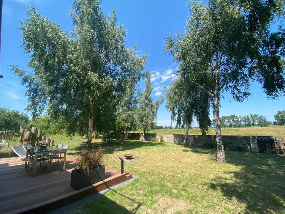 Garten mit Birken und offener Wiese unter blauem Himmel